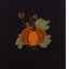 Pick A Pumpkin Towel Black Set Of Two ETRE0193