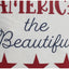 America the beautiful Pillow 14”x14” PL000058