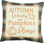 Fall Sky Gray Pillow PL011519