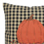 F Pumpkin & Bittersweet Pillow 14x14 PL123011