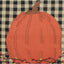 F Pumpkin & Bittersweet Pillow 14x14 PL123011