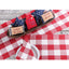 Buffalo Check Crimson Red Placemat PM510019