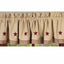 Nutmeg Barn Red Nutmeg W/ Barn Red Star Fairfield Valance Lined VF030017